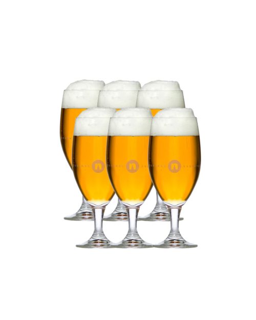 Nynäshamns Ångbryggeri - Ölglas 6-pack